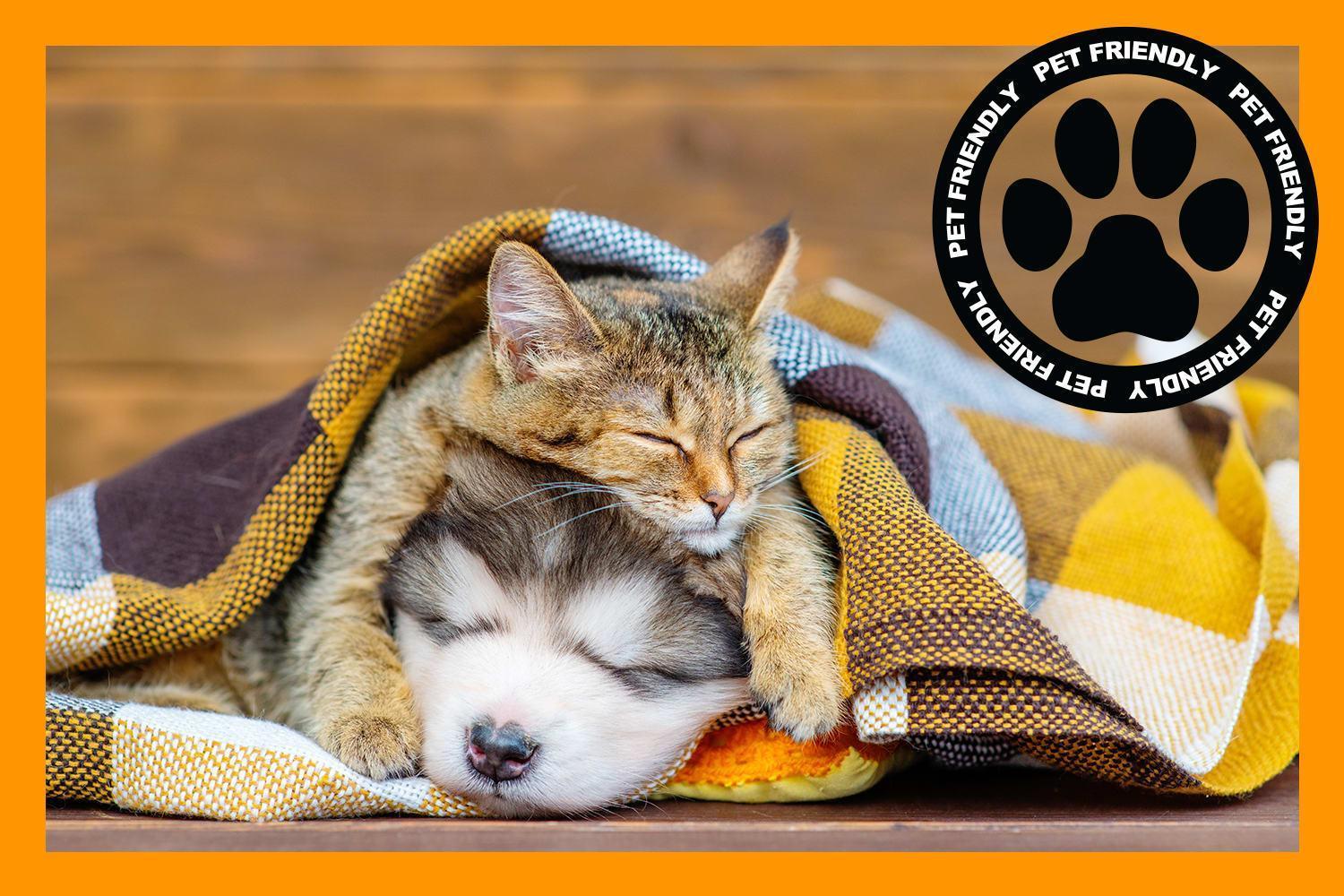 דירות סולט לייק סיטי Cozy For Bookworms - Laundry - King Bed - Parking מראה חיצוני תמונה